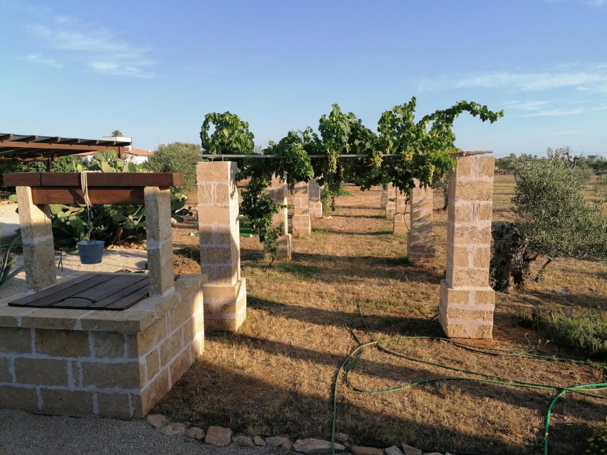 Villa Le Site Ракале Экстерьер фото